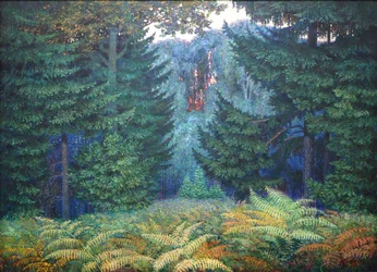Unknown Image